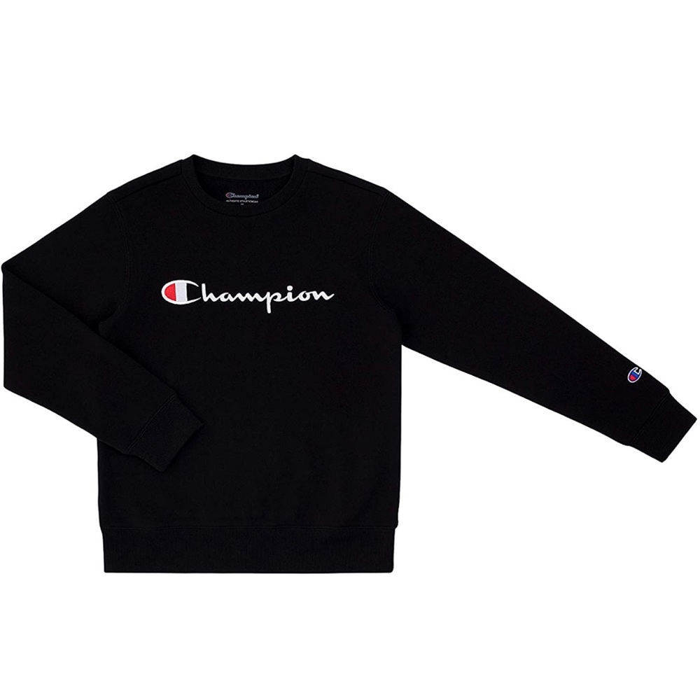 Champion Unisex Boy and Girls Pullover Champion L